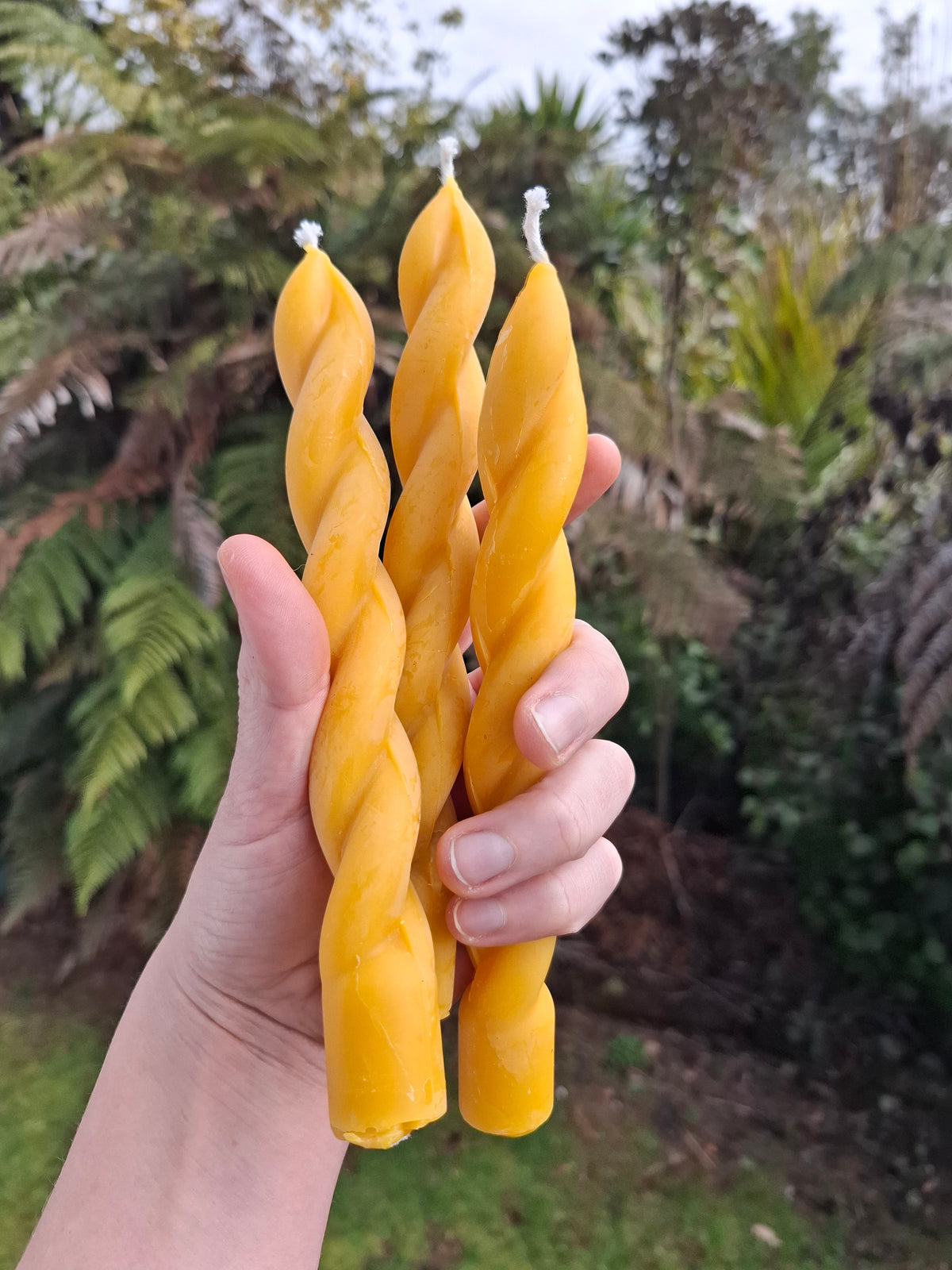 Three yellow spiral beeswax candles held in one hand against a leafy garden background.