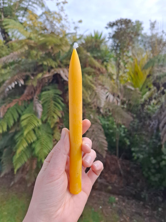 A hand holds a tall, solid yellow taper candle outdoors with a blurred background of green ferns and foliage.